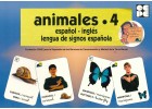 Vocabulario fotogrfico elemental - animales 4 (insectos)
