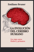 La evolucin del cerebro humano. Un viaje entre fsiles y primates