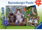 Gatitos atigrados. 3 puzzles de 49 piezas cada uno