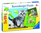 Puzzle de gatito curioso. 3 puzzles de 49 piezas